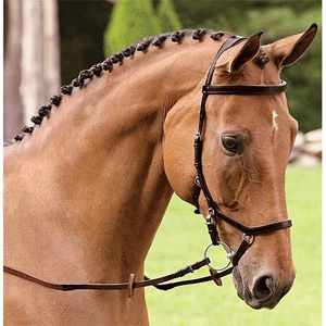 
                        Bridles