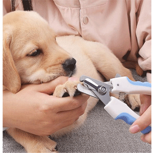 
                        Pet Grooming Supplies