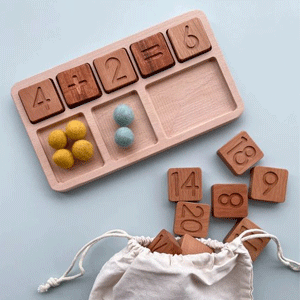 Educational Toys