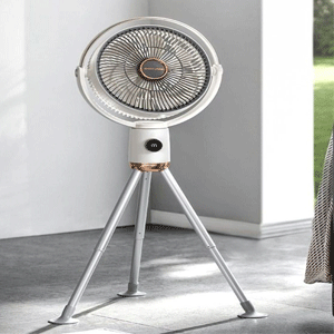 
                        Standing Fans