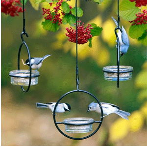 Bird Baths