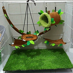 
                        Bird Cage Accessories
