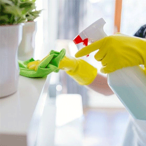 
                        All Purpose Cleaners