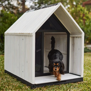  Dog Houses