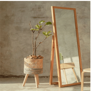 
                        Mirrors