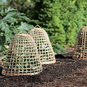 
                        Garden Cloches