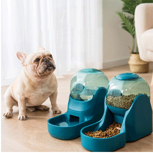 
                        Pet Bowls, Feeders & Waterers