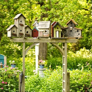 
                        Bird & Wildlife Houses