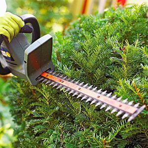 Hedge Trimmers