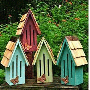 Butterfly Houses