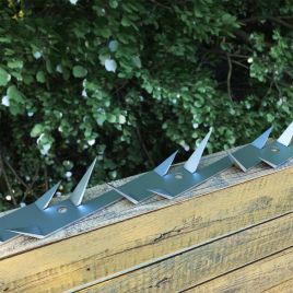 Wall Spikes 2 Pcs Steel 1 m
