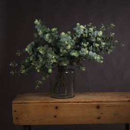Eucalyptus Spray - Green