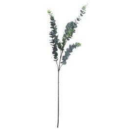Dollar Eucalyptus - Silver