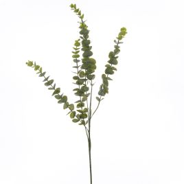 Gunnii Eucalyptus Spray - Green