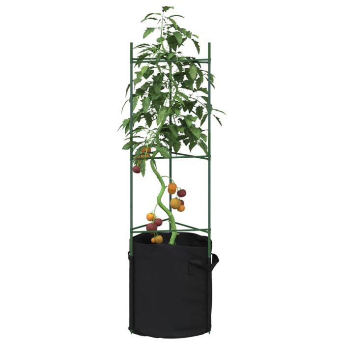 Tomato Cage with Plant Bag 2 pcs 116 cm Steel and PP