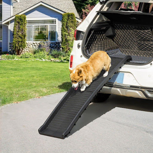 Dog Stairs vs Dog Ramp